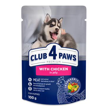 CLUB 4 PAWS Преміум для цуценят "З куркою в желе". Повнораціонний консервований корм